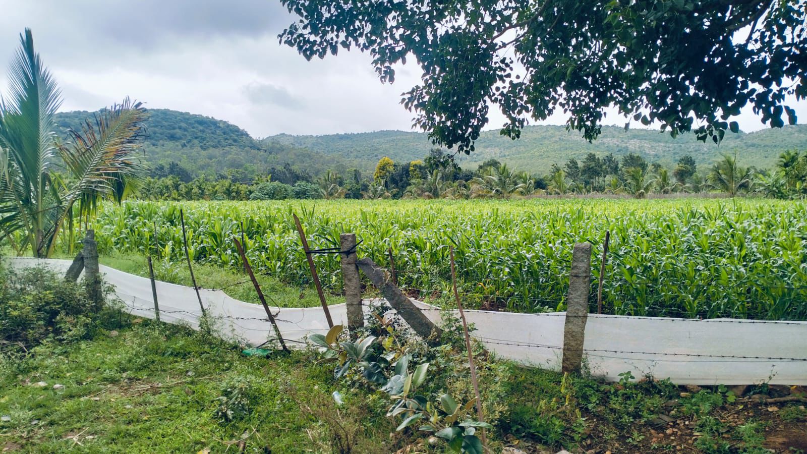 2 Acres Land for Sale